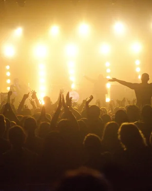 TCB, TOB, Reaction Band - 50 Years of Gogo