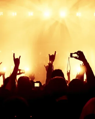 Live concert by The Barr Brothers