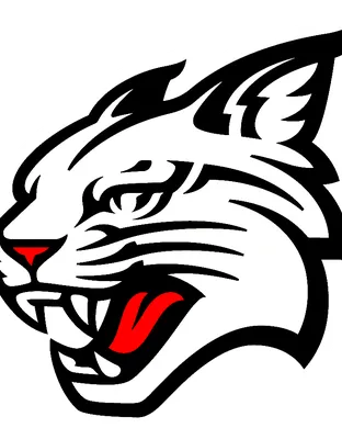 Davidson Wildcats