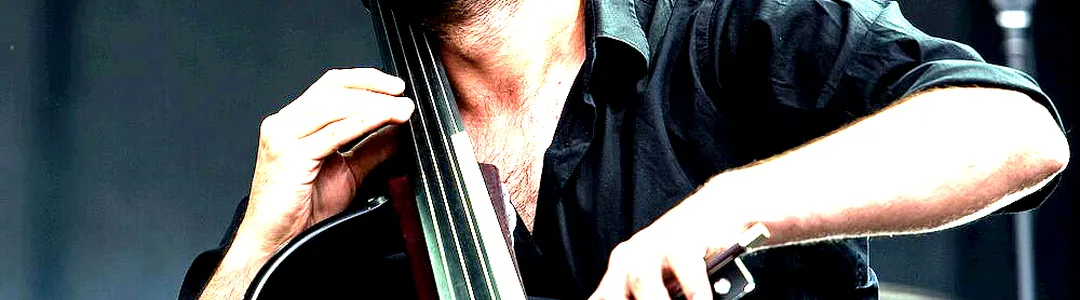 Hauser