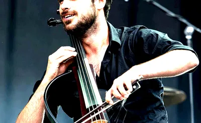 Hauser