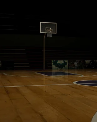 Saint Joseph's Hawks