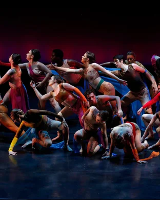 Circa Humans 2.0 theatre performance